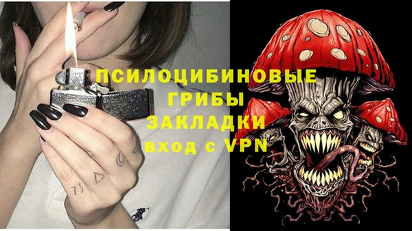 крисы Балахна